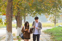 Check in con đường đẹp như phim Hàn ở Hà Nội 