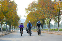 Check in con đường đẹp như phim Hàn ở Hà Nội 