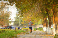 Check in con đường đẹp như phim Hàn ở Hà Nội 