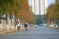 Check in con đường đẹp như phim Hàn ở Hà Nội 