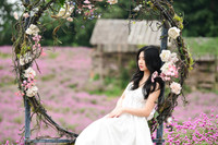 Giới trẻ Hà Nội háo hức với cánh đồng cúc bách nhật