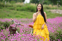 Giới trẻ Hà Nội háo hức với cánh đồng cúc bách nhật