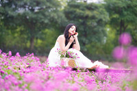 Giới trẻ Hà Nội háo hức với cánh đồng cúc bách nhật