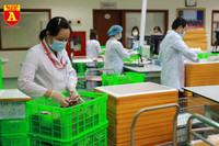 Chi viện gần 1.000 đơn vị máu tiếp sức đồng bào Tây Nam Bộ chống dịch Covid-19