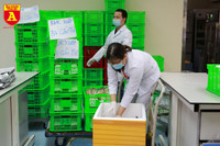 Chi viện gần 1.000 đơn vị máu tiếp sức đồng bào Tây Nam Bộ chống dịch Covid-19