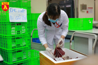 Chi viện gần 1.000 đơn vị máu tiếp sức đồng bào Tây Nam Bộ chống dịch Covid-19