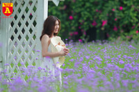 Thiếu nữ Hà Nội đẹp dịu dàng bên cánh đồng hoa oải hương thảo