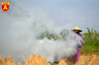 Khói rơm rạ bủa vây người tham gia giao thông tại Hà Nội