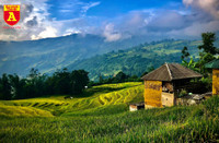 Lên Y Tý xem đồng bào giã đất làm nhà