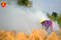 Khói rơm rạ bủa vây người tham gia giao thông tại Hà Nội