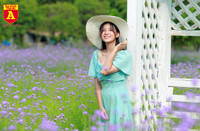 Thiếu nữ Hà Nội đẹp dịu dàng bên cánh đồng hoa oải hương thảo