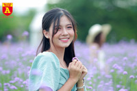 Thiếu nữ Hà Nội đẹp dịu dàng bên cánh đồng hoa oải hương thảo