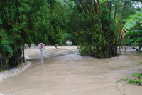 Hình ảnh tan hoang sau mưa lũ ở Lục Yên, Yên Bái