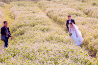 Ngắm cánh đồng tam giác mạch đẹp như tranh ở Hà Nội 