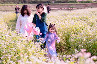 Ngắm cánh đồng tam giác mạch đẹp như tranh ở Hà Nội 