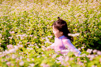 Ngắm cánh đồng tam giác mạch đẹp như tranh ở Hà Nội 