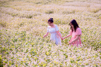 Ngắm cánh đồng tam giác mạch đẹp như tranh ở Hà Nội 