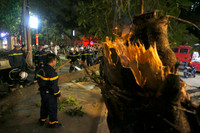 Cảnh sát cứu hộ Công an quận Thanh Xuân tiếp cận hiện trường vụ cây đổ trong đêm 