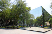 Khối gương kính 3D ở vườn hoa Diên Hồng thu hút giới trẻ check in ngày cuối tuần