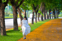 Hà Nội đẹp dịu dàng mùa hoa giáng hương