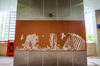 Khám phá bên trong các nhà ga tuyến Metro Nhổn - Ga Hà Nội