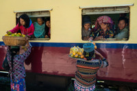 Cận cảnh những bức ảnh của Việt Nam đoạt giải Pink Lady Food Photography