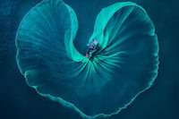 Cận cảnh những bức ảnh của Việt Nam đoạt giải Pink Lady Food Photography