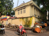 Phường Phúc Xá huy động nhiều lực lượng cùng nhân dân tổng vệ sinh đường phố