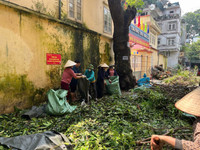 Phường Phúc Xá huy động nhiều lực lượng cùng nhân dân tổng vệ sinh đường phố