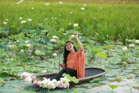 Dịu dàng mùa sen Hà thành