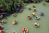 Trải nghiệm rừng dừa trên thuyền thúng ở Hội An 