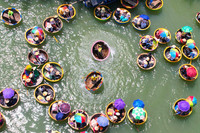 Trải nghiệm rừng dừa trên thuyền thúng ở Hội An 