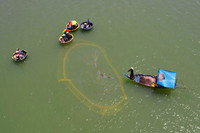 Trải nghiệm rừng dừa trên thuyền thúng ở Hội An 