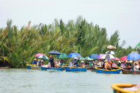 Trải nghiệm rừng dừa trên thuyền thúng ở Hội An 