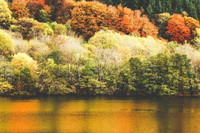 Khám phá xử sở mộng mơ tại Scotland