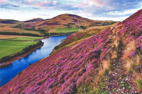 Khám phá xử sở mộng mơ tại Scotland