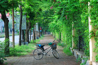 Hà Nội – Âm thanh của sự tĩnh lặng