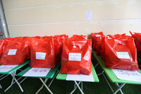 Góp nắng xuân cho trẻ em vùng cao 