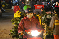 Xuyên đêm lạnh, tiểu thương chợ hoa Quảng Bá mưu sinh