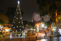 Không khí Giáng sinh ngập tràn Hà Nội