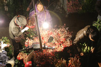 Xuyên đêm lạnh, tiểu thương chợ hoa Quảng Bá mưu sinh