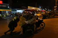 Xuyên đêm lạnh, tiểu thương chợ hoa Quảng Bá mưu sinh