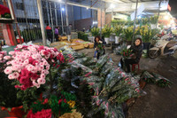 Xuyên đêm lạnh, tiểu thương chợ hoa Quảng Bá mưu sinh