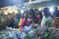 Xuyên đêm lạnh, tiểu thương chợ hoa Quảng Bá mưu sinh