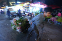Xuyên đêm lạnh, tiểu thương chợ hoa Quảng Bá mưu sinh