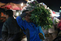 Xuyên đêm lạnh, tiểu thương chợ hoa Quảng Bá mưu sinh