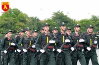 Xem Cảnh sát đặc nhiệm đu dây, đột nhập nhà cao tầng trấn áp tội phạm