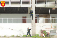 Xem Cảnh sát đặc nhiệm đu dây, đột nhập nhà cao tầng trấn áp tội phạm