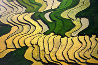 Di sản văn hóa Việt Nam tuyệt đẹp qua những bức ảnh 