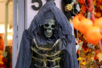 Halloween nhiều sắc màu của giới trẻ Hà Thành